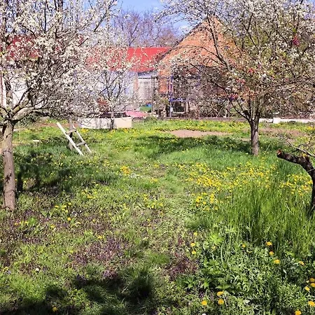 Apartmán Pohodlný S Ptačí Zahradou